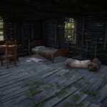 Home-in-the-woods3