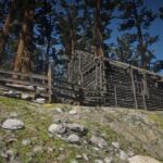 Home-in-the-woods4