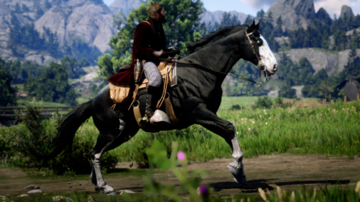 Horse-Coat-Catalogue3-1024x576-1