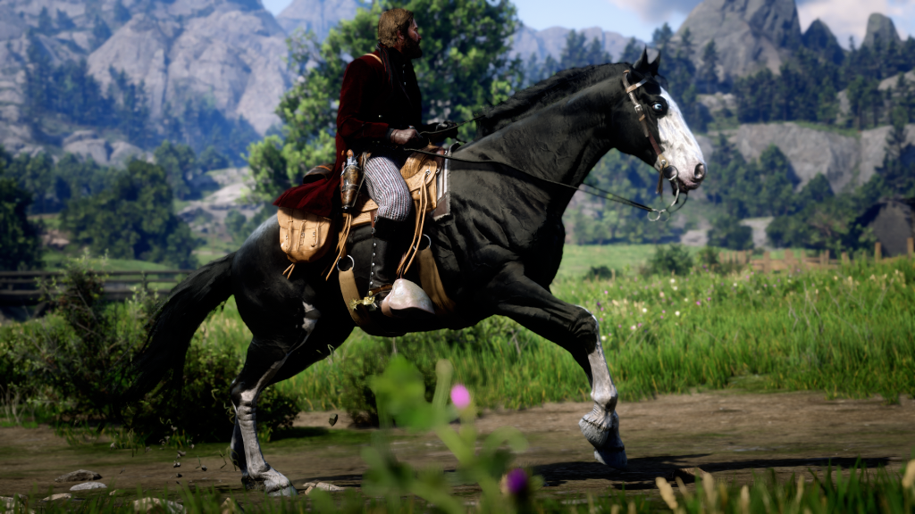Horse Coat Catalogue
