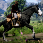 Horse-Coat-Catalogue3