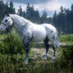 Horse-Coat-Catalogue4