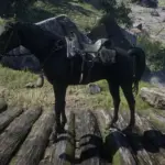 Horse-Lantern2