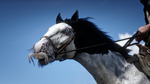 Horse-Moustache-Overhaul-1024x576-1