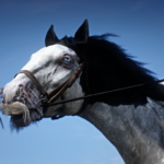 Horse-Moustache-Overhaul