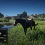 Horse-Names-and-Stats2