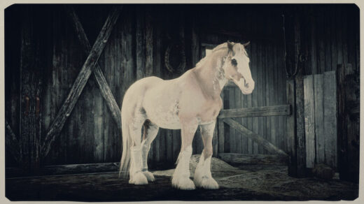 Horse-Pack