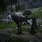 Horse-Pack4