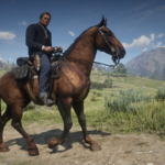 Horse-Requests3