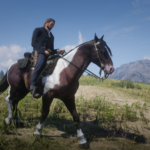 Horse-Requests4