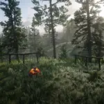 Horse-Rest-Points5