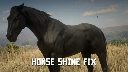 Horse-Shine-Fix-1024x579-1