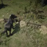 Horse-Troughs-in-Story-Camps2