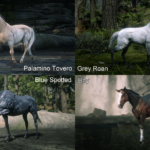Horses