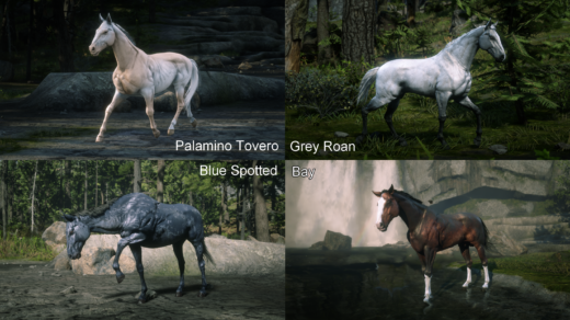 Horses