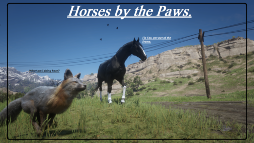Horses-by-the-Paws-1024x576-1