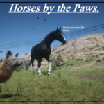 Horses-by-the-Paws