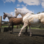 Horses-by-the-Paws2