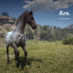 Horses-by-the-Paws4