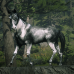 Horses2