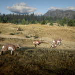 Hunting-Grounds3