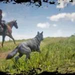 Immersive-Dog