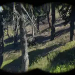 Immersive-Hunting3