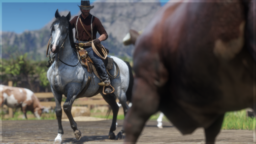 Improved-Kentucky-Saddler-Horses-1024x576-1