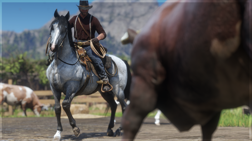 Improved Kentucky Saddler Horses