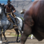 Improved-Kentucky-Saddler-Horses