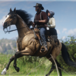 Improved-Kentucky-Saddler-Horses2