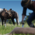 Improved-Kentucky-Saddler-Horses3