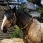 Improved-Kentucky-Saddler-Horses4