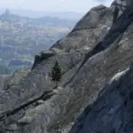 Increased-Level-of-Detail3