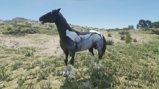 Interesting-Horses-1024x576-1