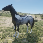 Interesting-Horses