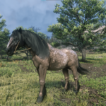 Interesting-Horses2