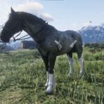 Interesting-Horses3