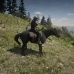 Jessas-james-horse2