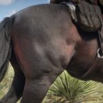John-And-Arthur-Horse-Upscale4