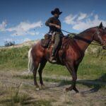 Kentucky-Saddler2