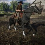 Kentucky-Saddler4