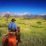 LIFELIKE-RESHADE-PRESET-RED-DEAD-REDEMPTION-2