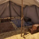 Laguna-Borrego-Camp2