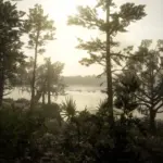 LeFlorida3