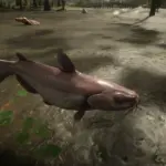 Legendary-Channel-Catfish-Restored2