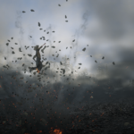 Live-Leak-Ragdoll-Overhaul2