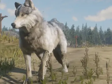 Lycanthropy