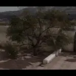 MEXICO-VEGETATION-RESTORATION-UPDATE5