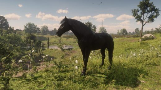 Maybe-a-Percheron-1024x576-1